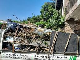 Retail Junk Removal in Frazee, MN